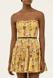 Caudal Paramo Mini Dress