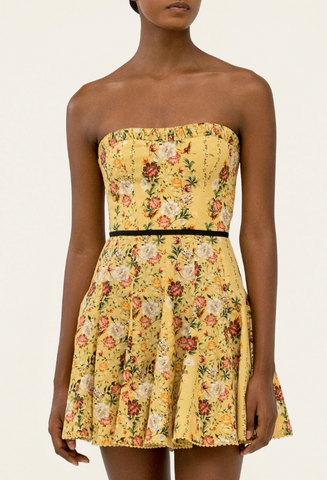 Caudal Paramo Mini Dress