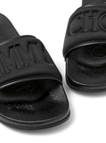 Fitz logo slides in black